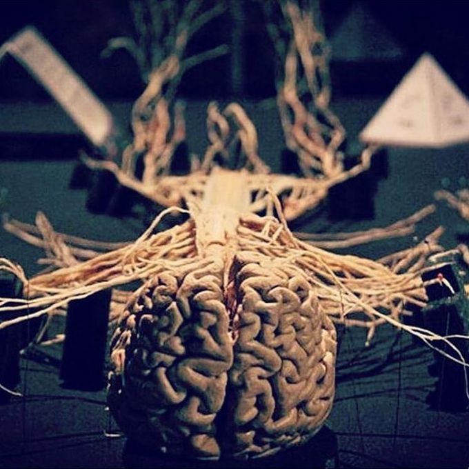 Beauty of CNS