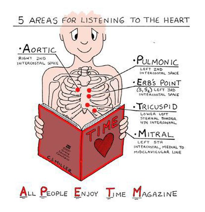 5 areas of listening for heart sound