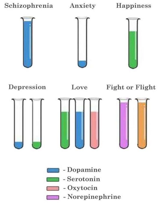 Neurotransmitters