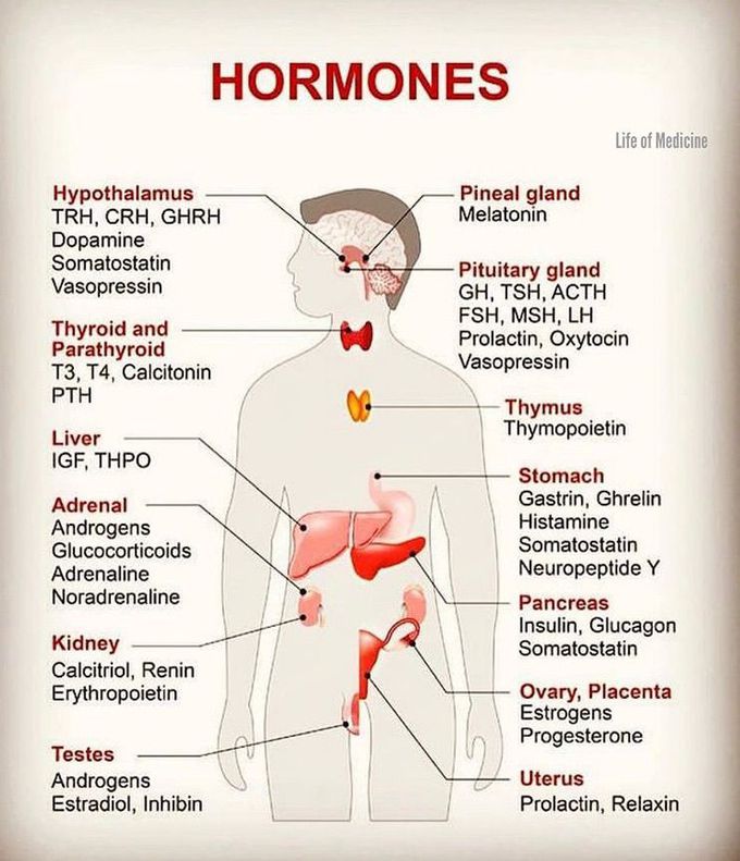 Hormones