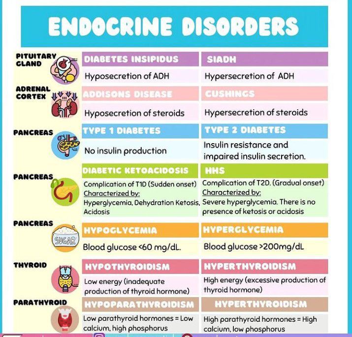 Endocrine System Disorders Chart Vrogue co