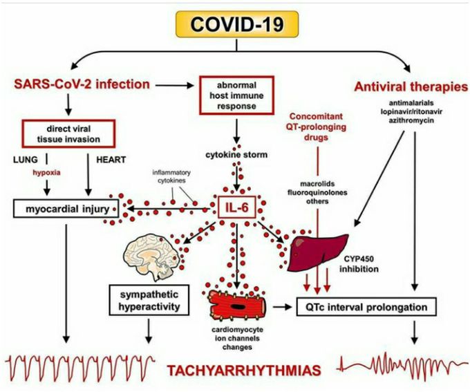 How you can evaluate covid9 patients,and what SARS_coronavrius 2 do in you body