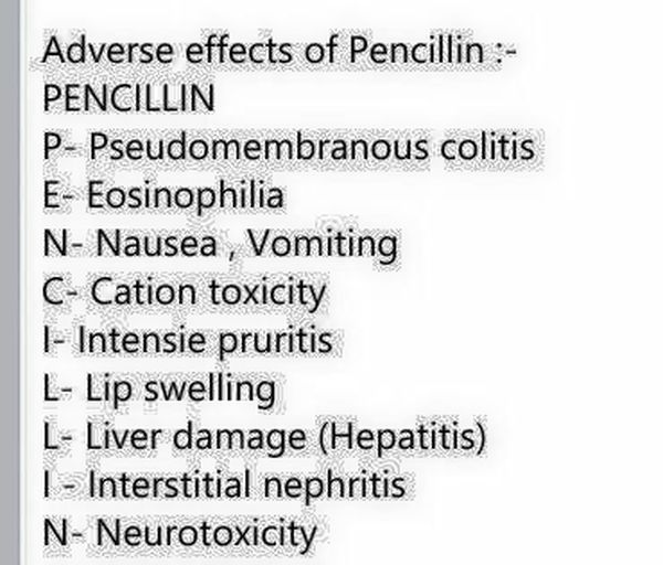 Effects Of Penicillin