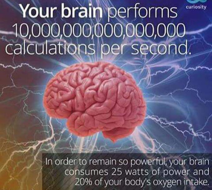 Fact