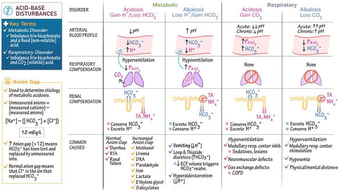 Acid-base disturbances