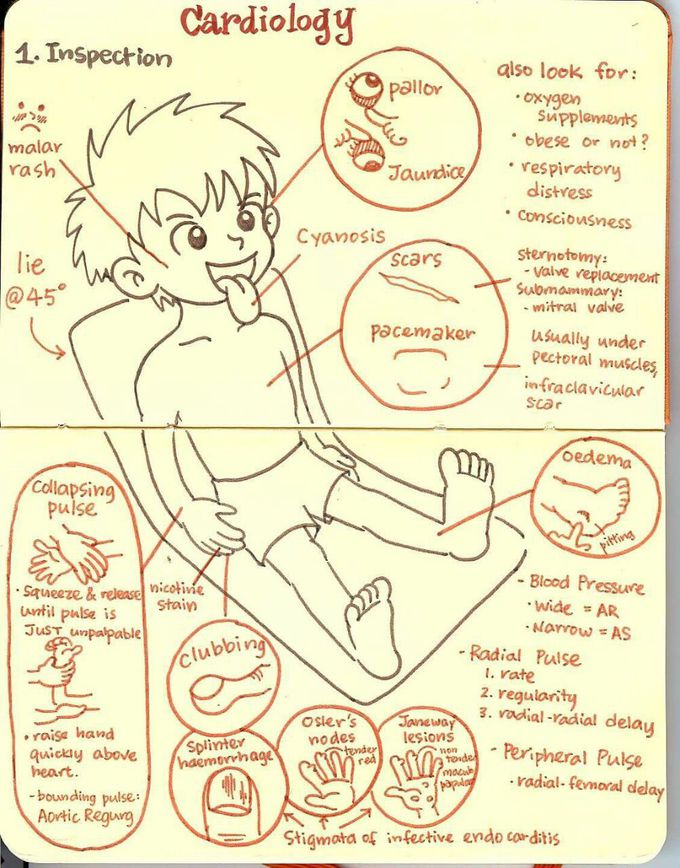 Clinical Examination of Cardiac Patient