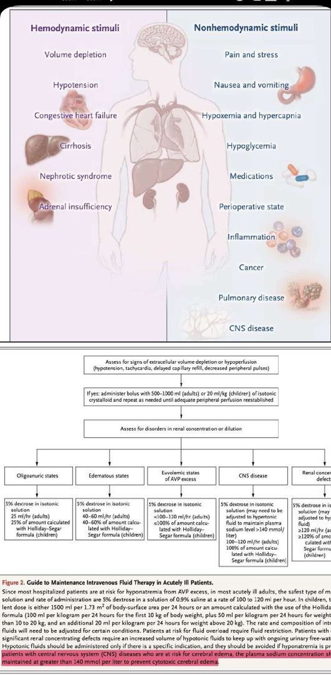 Hemodynamic stimuli&nonhemodynamic stimuli