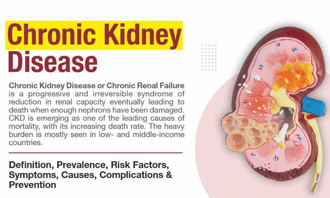 Chronic Kidney Disease