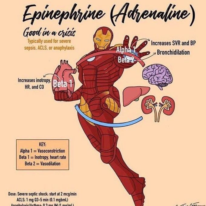 Epinephrine