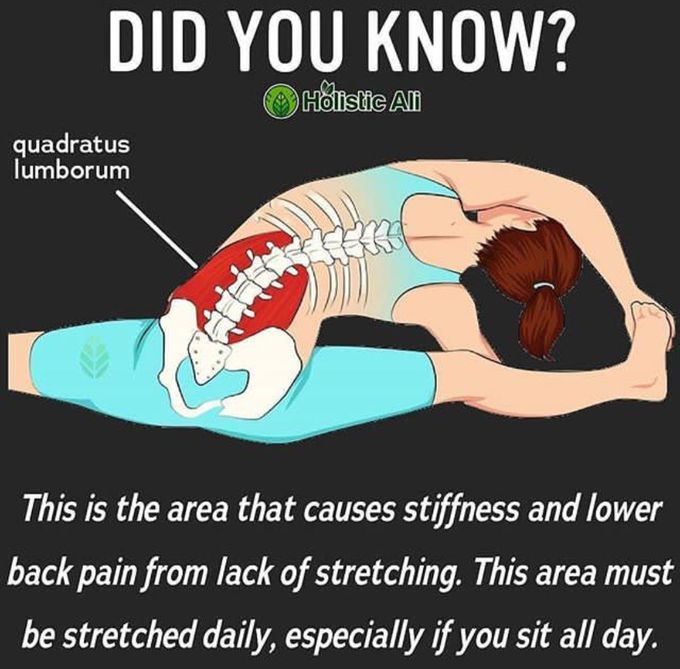 Did you know??