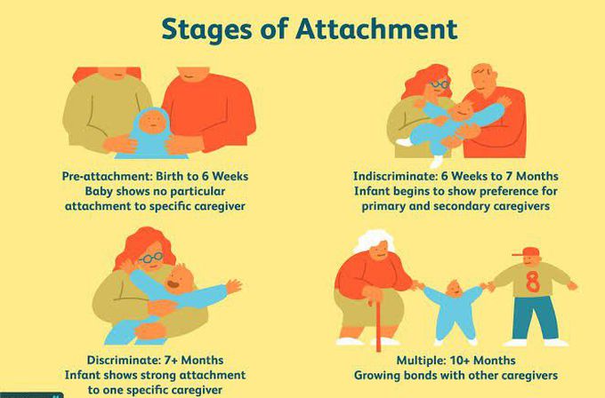 These are the stages of attachment of children