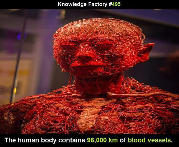 😱😱