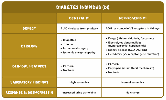 Central and Nephrogenic Diabetes Insipidus