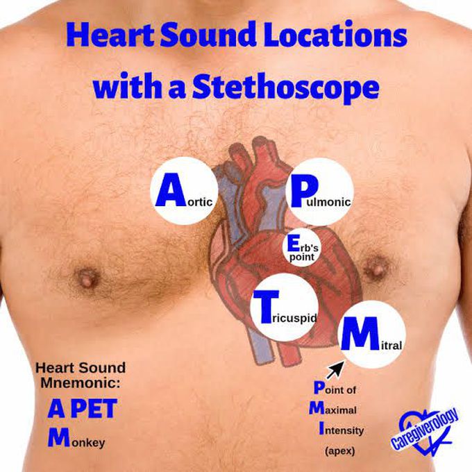 Heart sounds