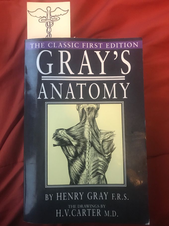 Gray’s Anatomy