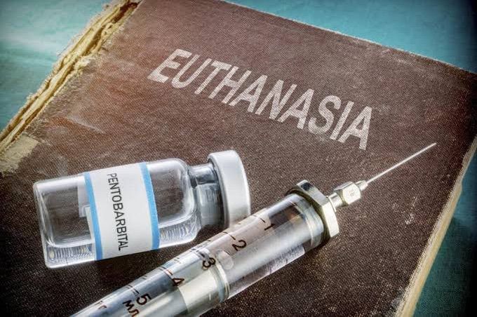 Euthanasia