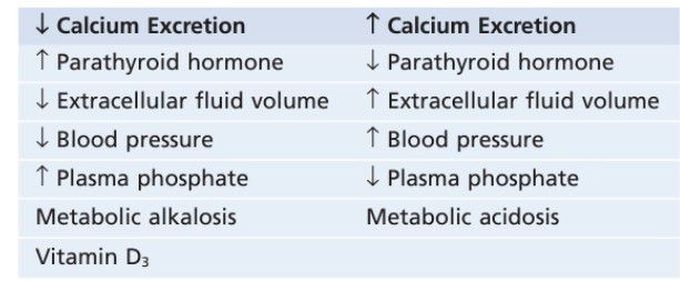 Calcium excretion