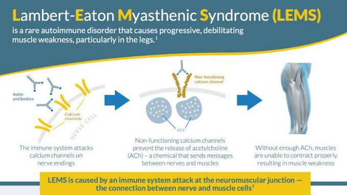 Cause of Lambert-Eaton myasthenic syndrome
