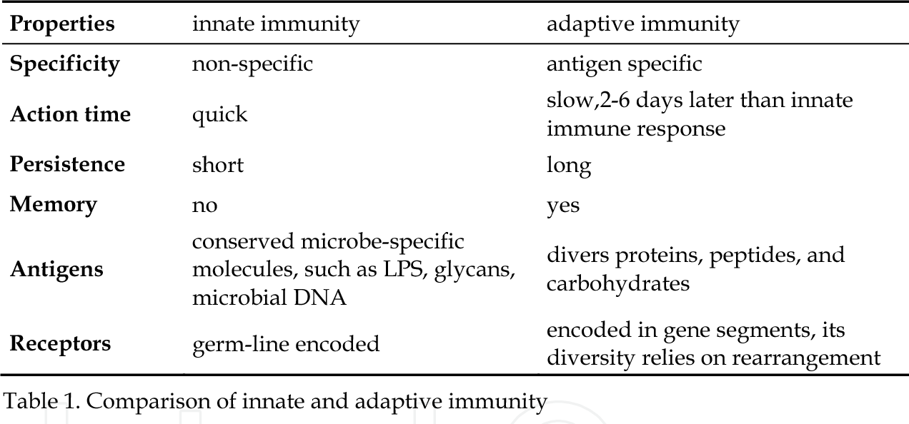 Innate Immunity vs Adaptive Immunity MEDizzy