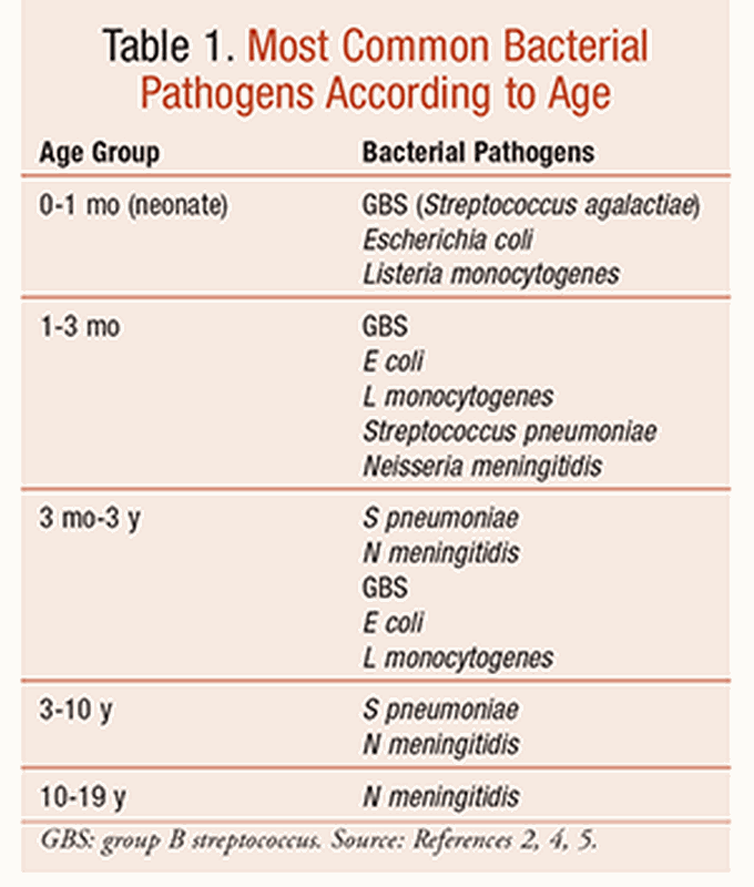 Bacterial pathogens causing meningitis