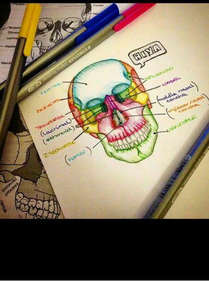 Our HEAD