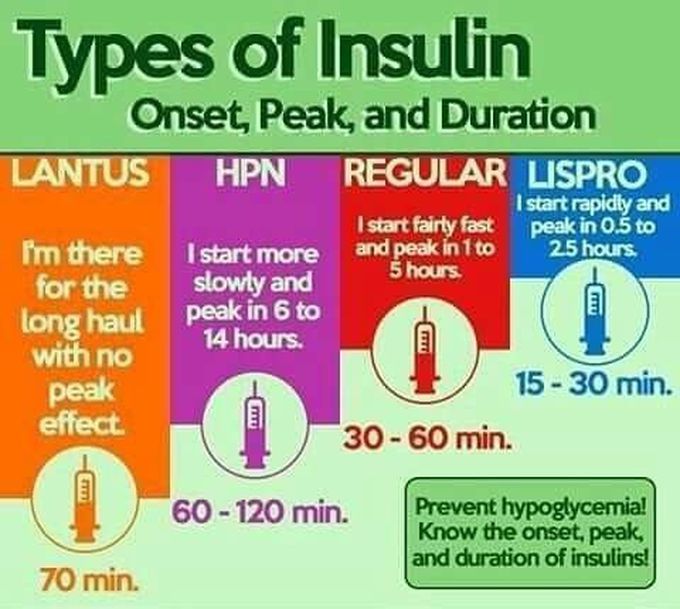 Types of insulin.