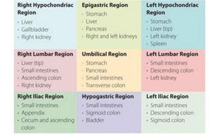 9 Regions