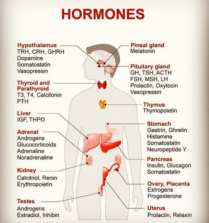 Hormones