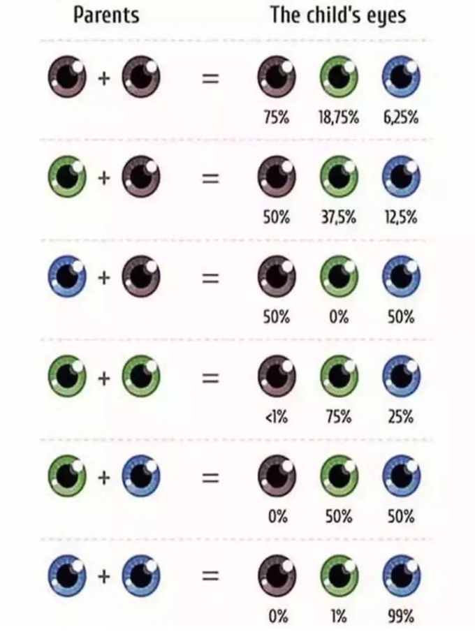 Eye Color Chart