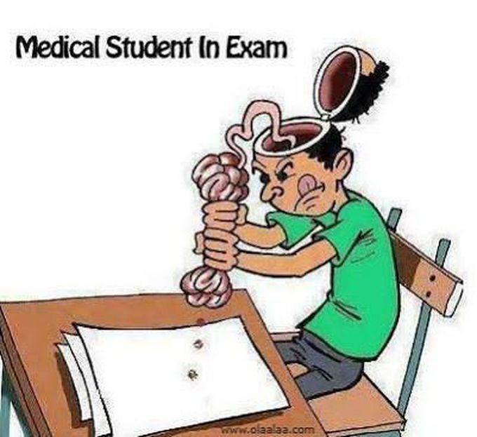 Medical Student in Exam 😂