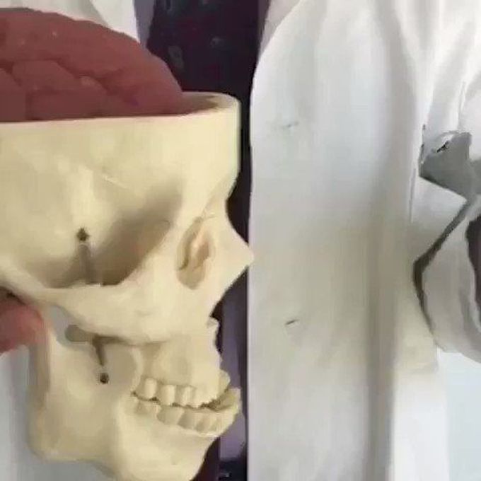 Medical Guide 😷 on Twitter