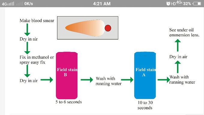 Field staining procedure