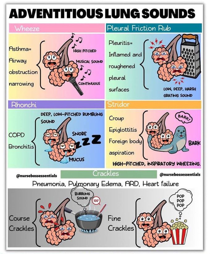 Adventitious Lung Sounds