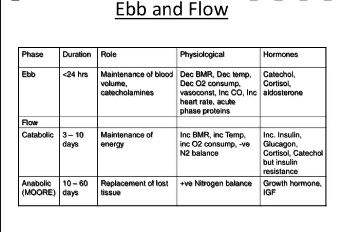 Ebb and Flow Phases Of Metabolic Response to Injury