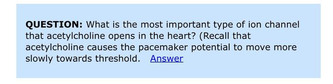 What the answer?