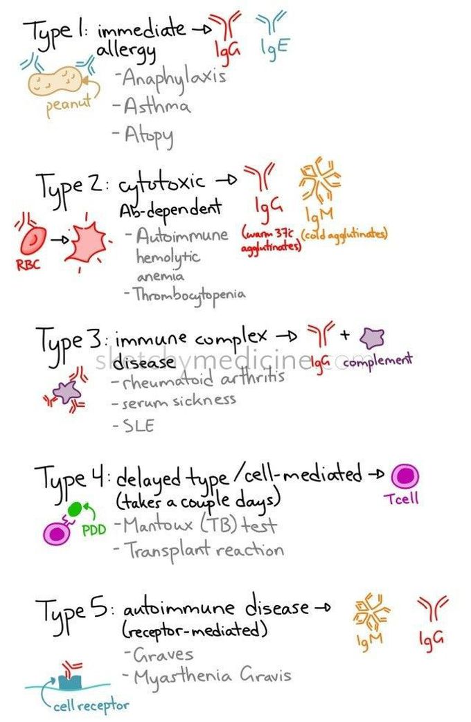 Hypersensitivities (type I, II, III, IV, V)