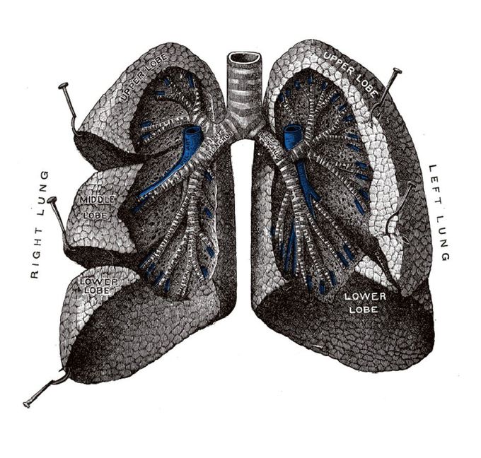 Respiratory 💕