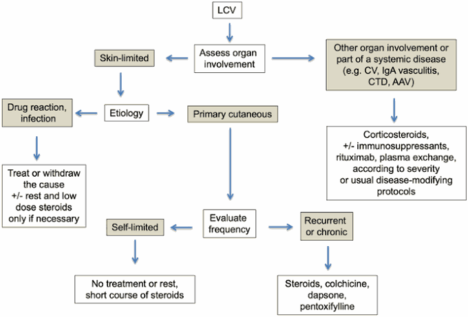 Cutaneous Small Vessel Vasculitis management