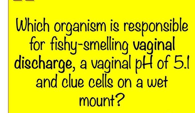 Identify the Organism