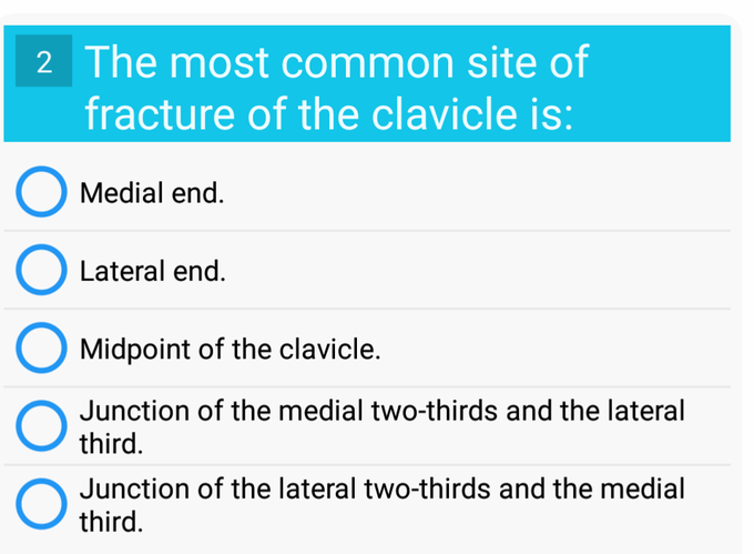 Anatomy