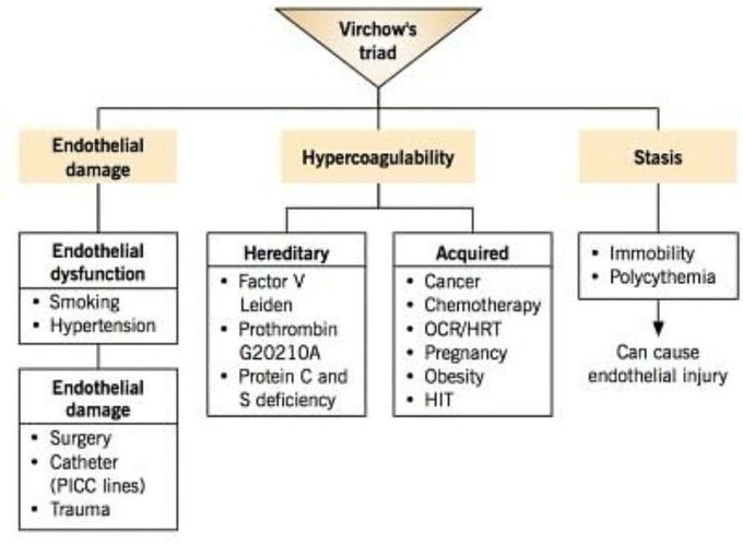 Virchow's Triad