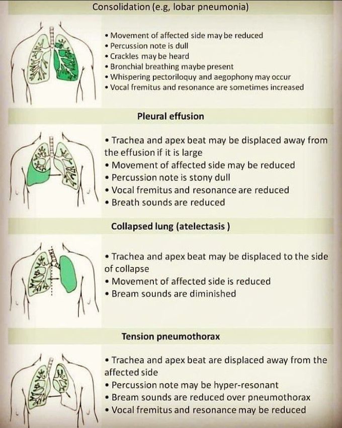Lung pathology