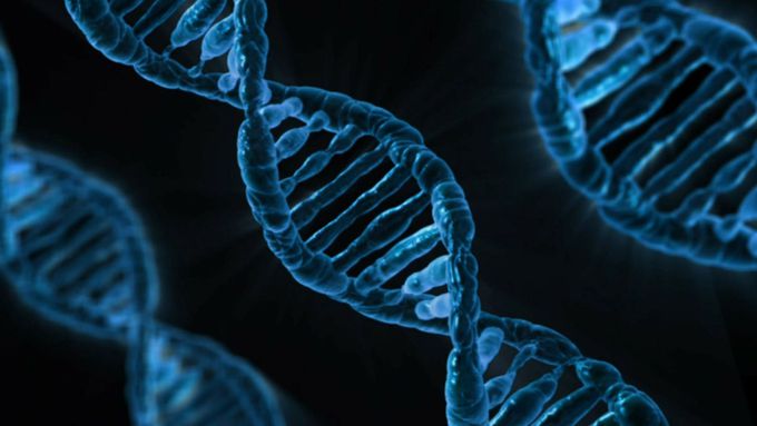 Study finds how NF-2 gene mutations make cells hyper-responsive to growth factor signaling