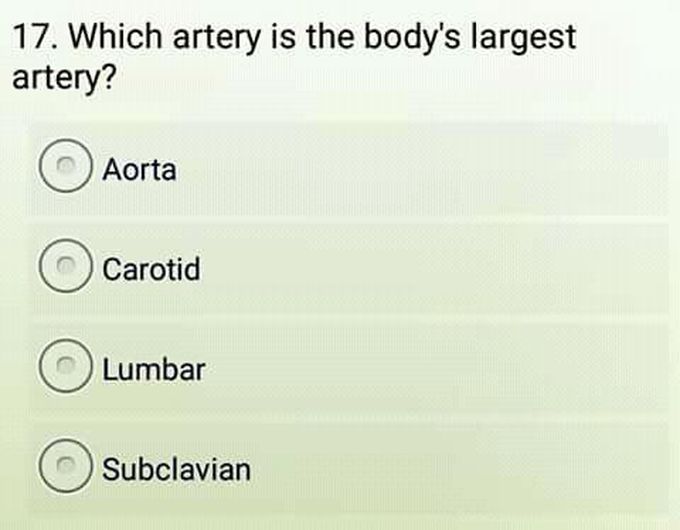 plz ans