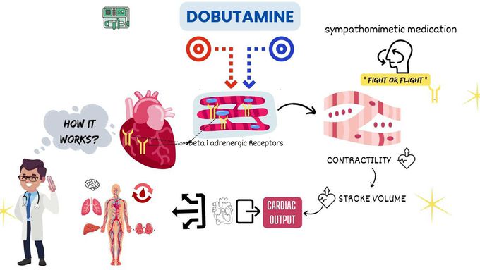Dobutamine : Drug uses in ICU with MOA and dosing