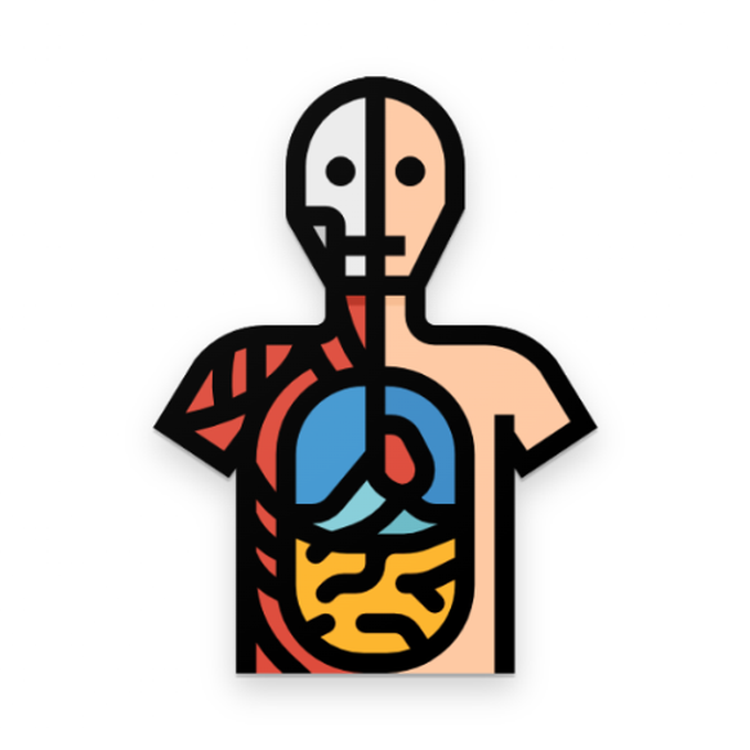 Human Anatomy Pro - Apps on Google Play