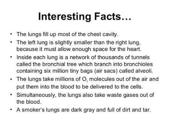 Lung facts
