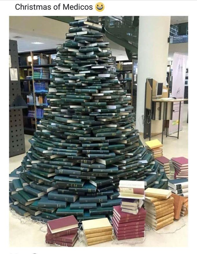 THE ONLY TREE I CAN AFFORD THIS CHRISTMAS... 🎄