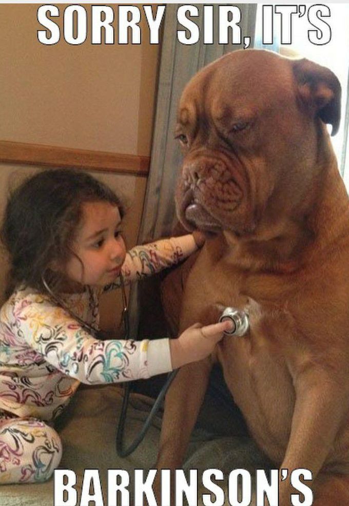 Aww... How cute she is❤