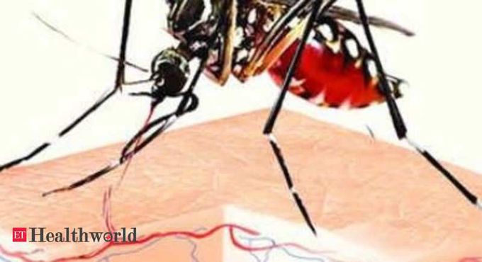 Kolkata : ‘Platelet count not enough to gauge dengue severity’ - ET HealthWorld